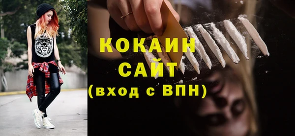 PSILOCYBIN Аркадак