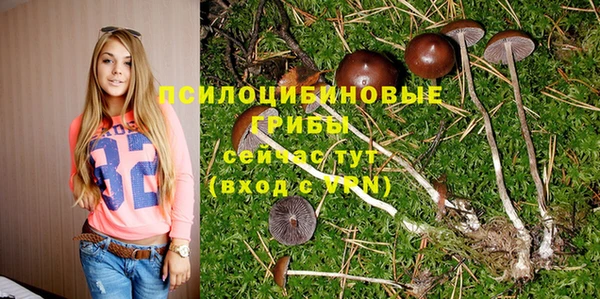 тгк Алексеевка