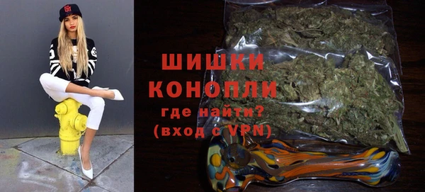 PSILOCYBIN Аркадак
