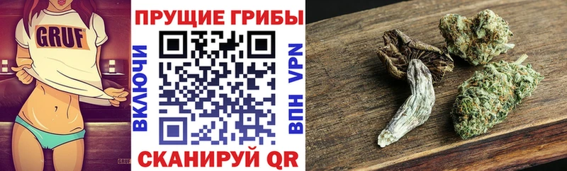 Галлюциногенные грибы MAGIC MUSHROOMS  shop наркотические препараты  Светлоград 