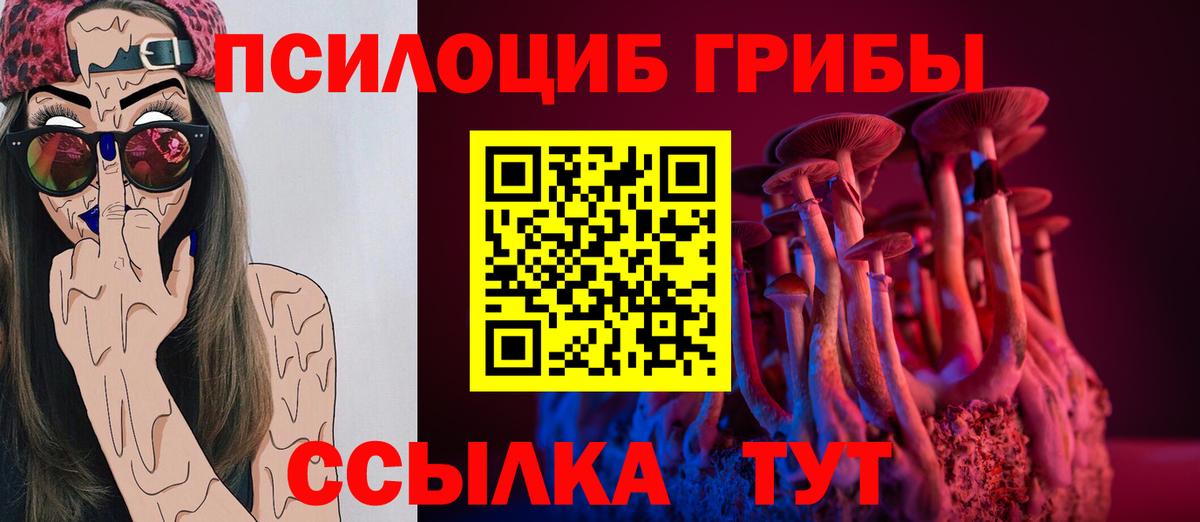 дарнет шоп  Вход с VPN  Светлоград  Галлюциногенные грибы Psilocybe  Псилоцибиновые грибы ЛСД 